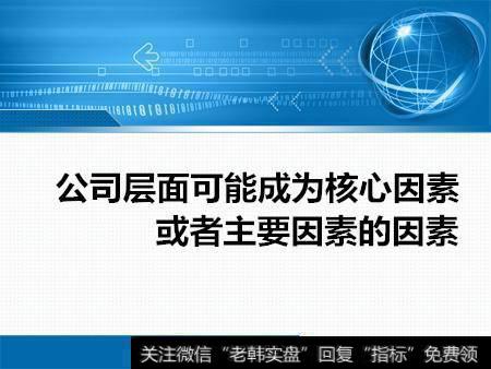 公司层面可能成为核心因素或者主要因素的因素