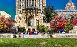 罗杰斯刚刚进入耶鲁大学这段时间都发生了什么？