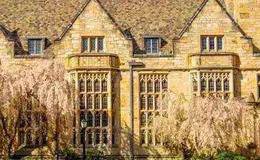 为何吉姆斯和他的好朋友们关系越来越密切？