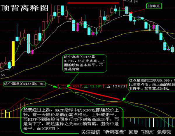 顶背离释图