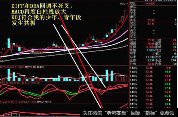 DIFF和DEA回调不死叉，MACD再度白柱线放大