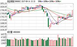  <em>李大霄最新观点</em>：国家队进驻创业板 投资者该不该跟随？