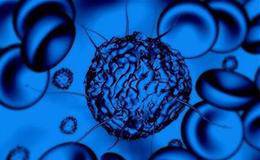 干细胞概念股受推荐 干细胞概念股有哪些？
