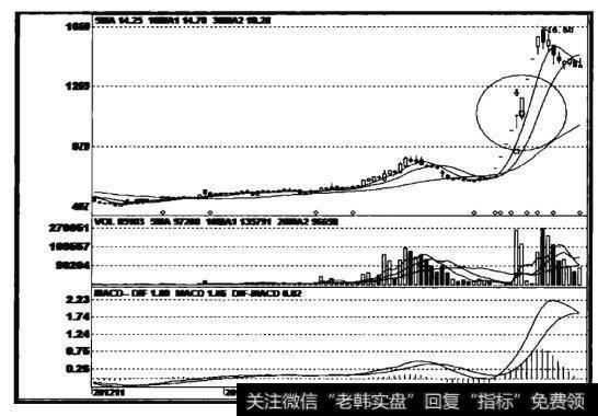 新南洋