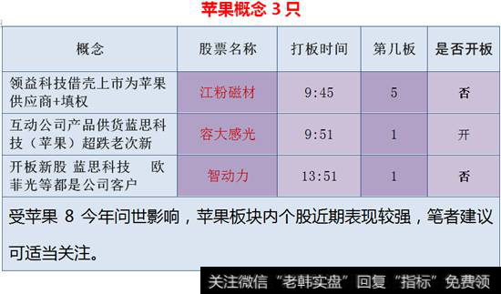 苹果概念