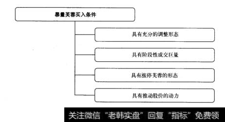 暴量芙蓉的买人条件