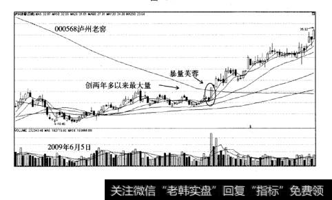 暴量芙蓉战法案例泸州老窖