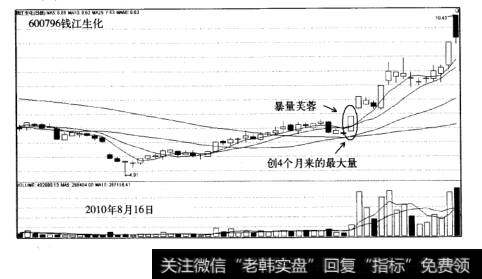 暴量芙蓉战法案例<a href='/t_28872/'>钱江生化</a>