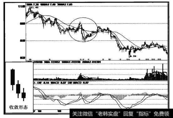 金发科技