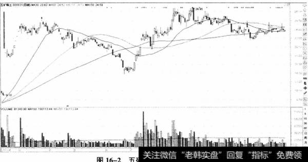 图16-2五矿稀士日K线反弹走势