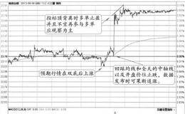 2013年9月6日20:30非农窗日的图形分解及实盘注意要点