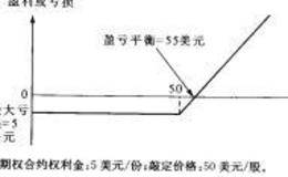 期权有什么样的杠杆作用？