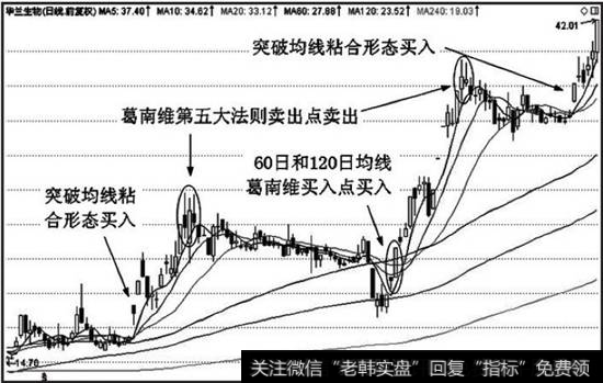 均线逐浪买入点