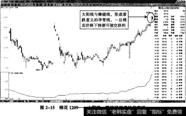 图2-15棉花1209――大阳线、棒槌线组成的孕育线