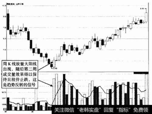 金种子酒周K线走势图