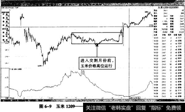 图6-9玉米1209——交割完成前，期货价格强势运行