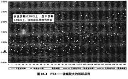 PTA的波动特征