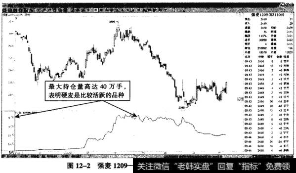 图12-2强麦1209——40万手的持仓，是活跃品种