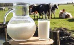 生鲜乳连涨十周,生鲜乳题材概念股可关注