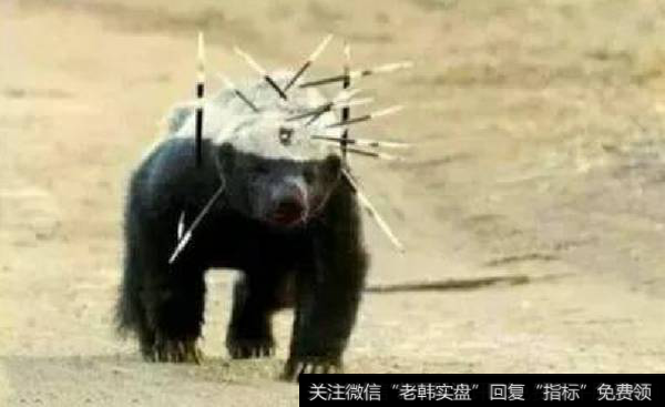 机构介入<a href='/xgyw/184738.html'>东软集团</a>；金田路连续加仓<a href='/ztbyc/289270.html'>德新交运</a>，开始第四波表演