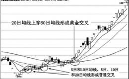 实叉用运交分金战黄形析态