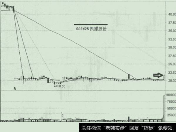 毛毛虫形态