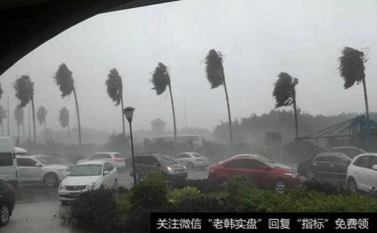 <a href='/redianticai/15136.html'>台风概念股</a>