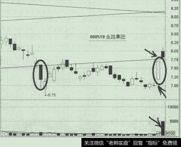 金路集团股票