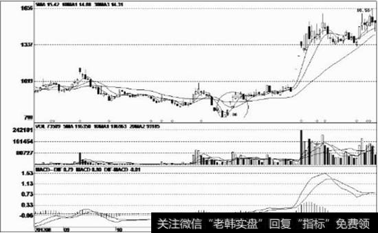 低价区域的T字阳线