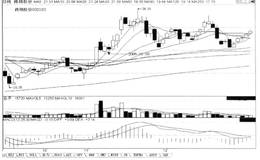 第186招  关注“强势回调，5日均线上调3日”