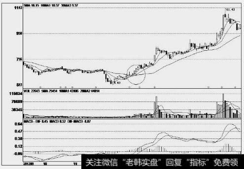 硅宝科技(300019)