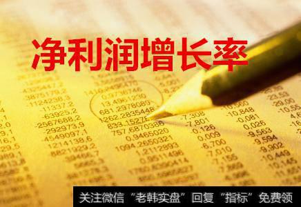 净利润增长率
