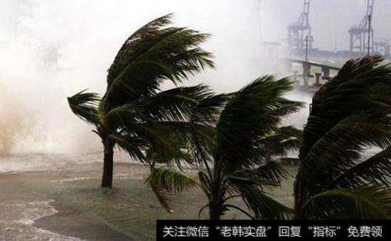 <a href='/redianticai/15136.html'>台风概念股</a>