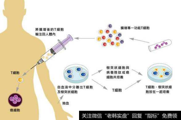 免疫疗法新突破,CAR-T产品题材<a href='/gainiangu/'>概念股</a>可关注