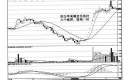 什么是压低的黑马建仓？压低的黑马模式的实例及操作？