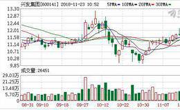 打造精细化工产业链推动进口替代 <em>兴发集团</em>加速环保转型