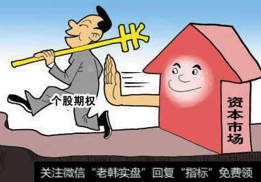在震荡市场中应用期权维加时有哪些重要概念？