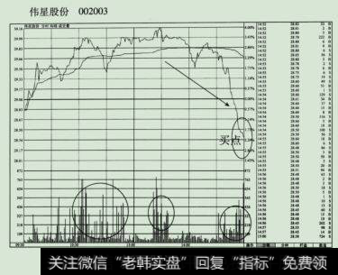 伟星股份(002003)的分时走势图。