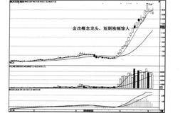 什么是中长阳反击的黑马？中长阳反击的黑马的实例及操作？