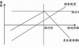 如何以及何时使用配对看跌期权?  怎样使用配对看跌期权？