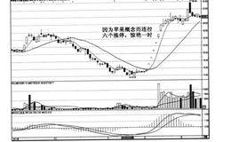 什么是穿头破脚黑马头部的典型K线？穿头破脚的实例及操作？