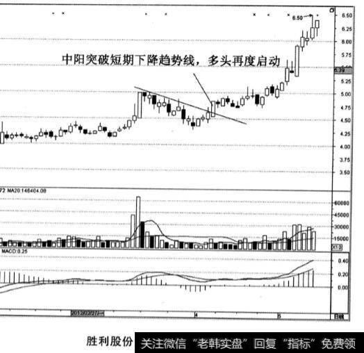 胜利股份股票