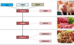 读懂上市公司：猪产业链的哪个环节最赚钱？