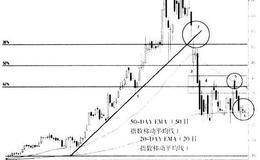 熊抱形态的应用是什么？50- 200弹球形态又是什么？