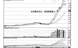 黑马的旗形整理是什么?旗形整理实例及操作策略？