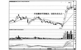 什么是矩形的黑马技术形态？整理矩形的实例及操作策略？