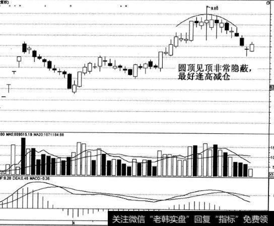 维维股份股票