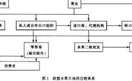用机械式交易系统跟踪市场有哪些优势？良好交易系统有哪些运用特点？