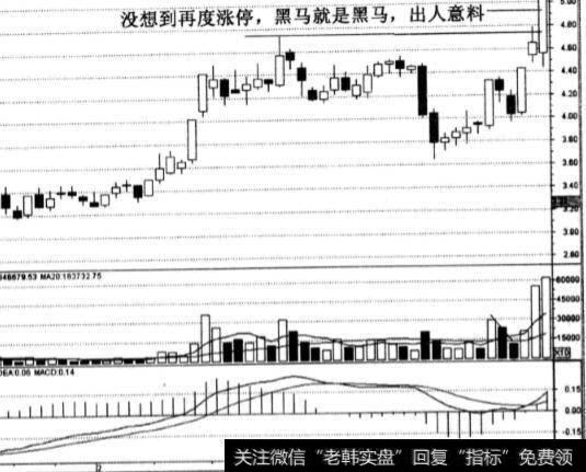 莱茵置业