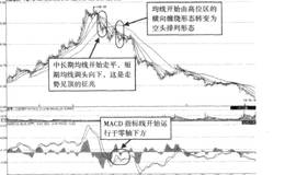 熊市行情中的操盘技巧详解？如何发觉熊市出现？